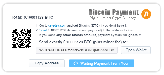 bitcoin payment processor